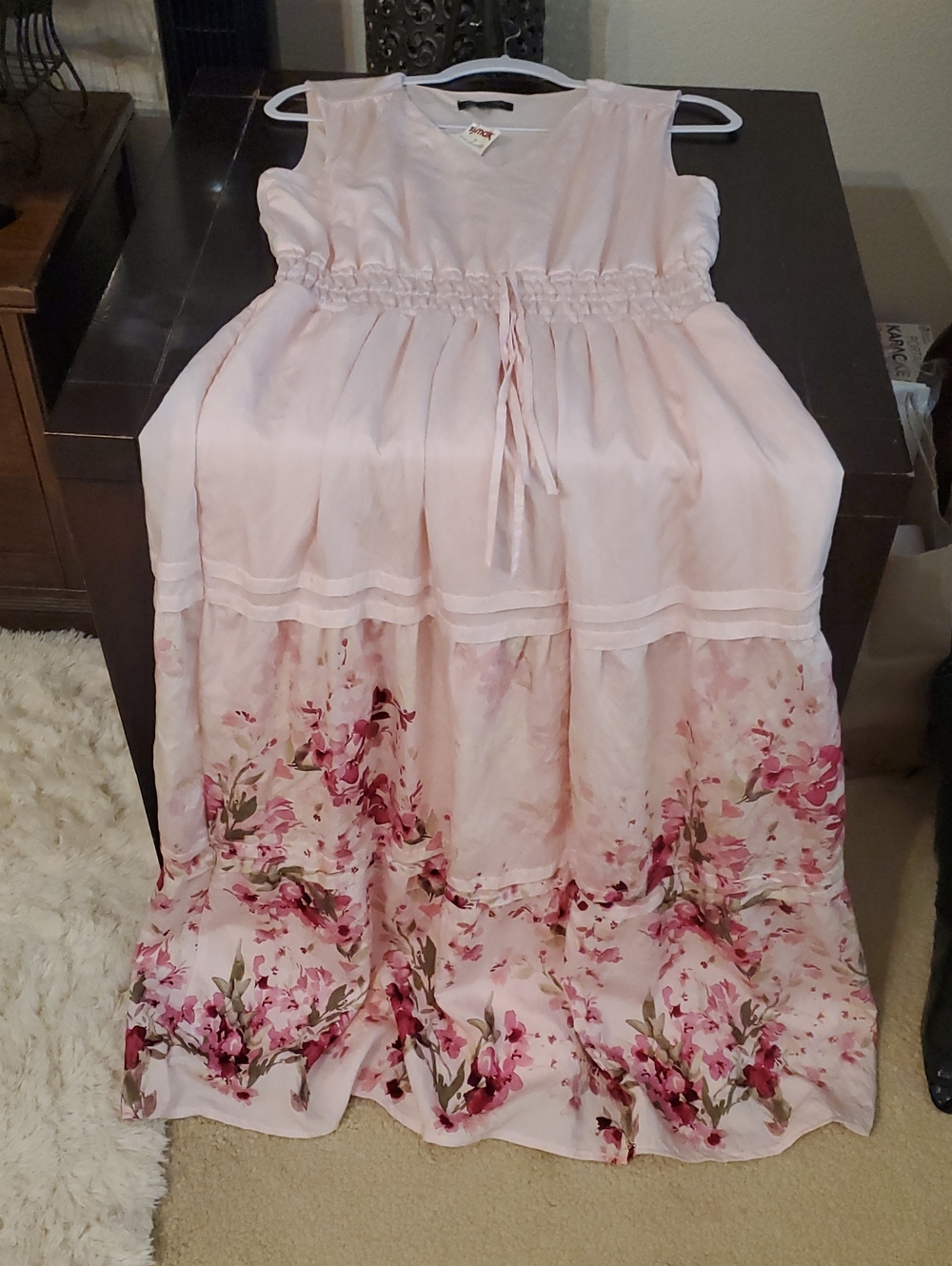 Rachel Zoe Light Pink Maxi Dress with Floral Border